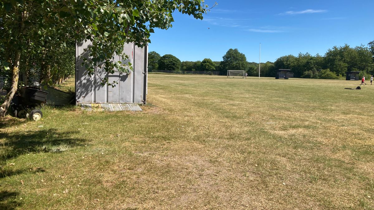 Tee 1