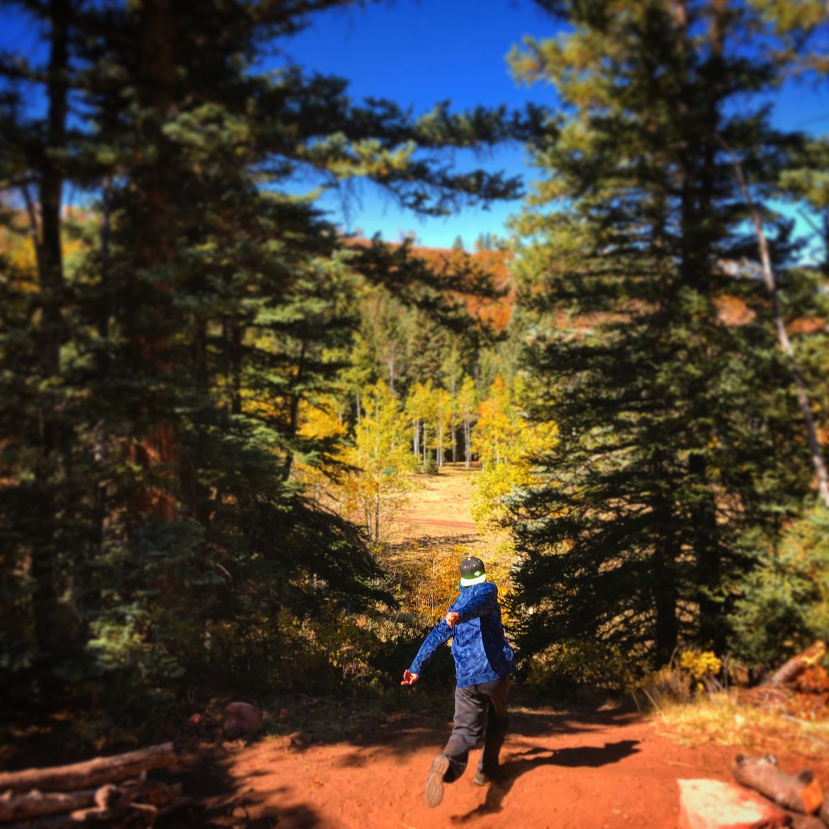Hole 14 tee - September 2020