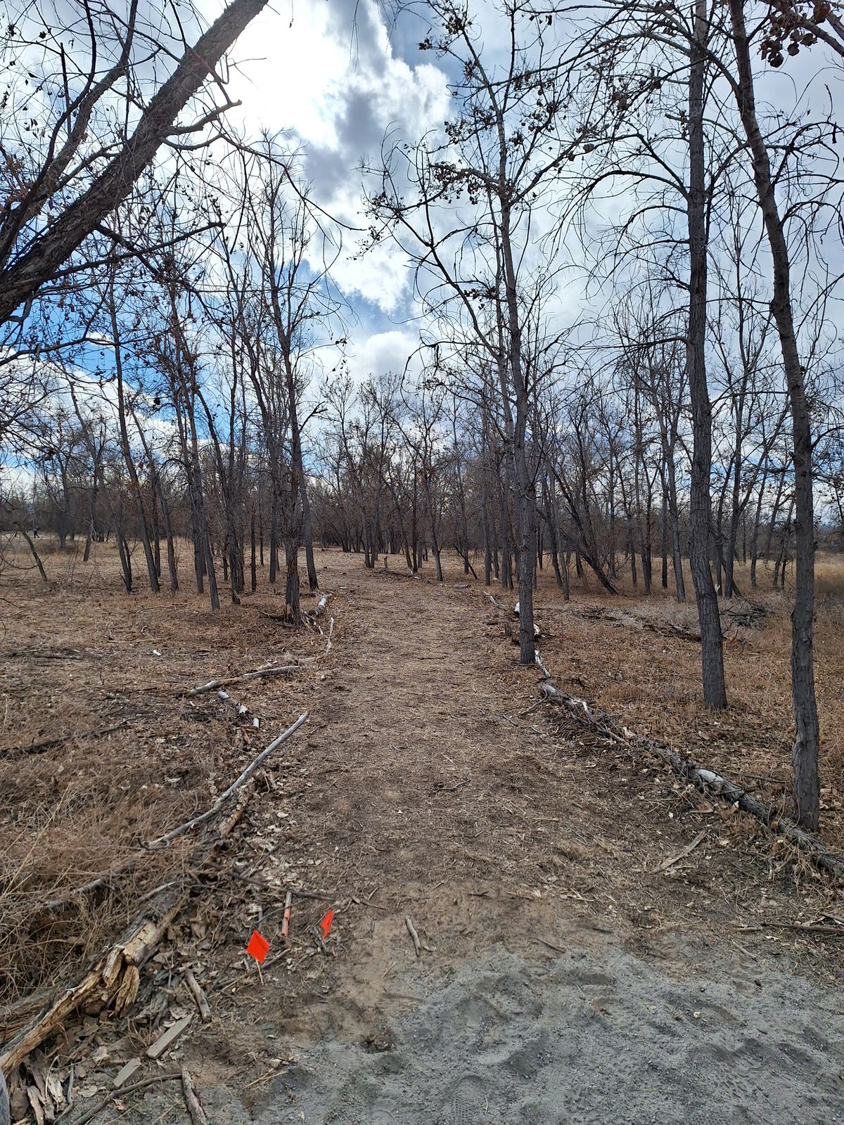 Hole 16