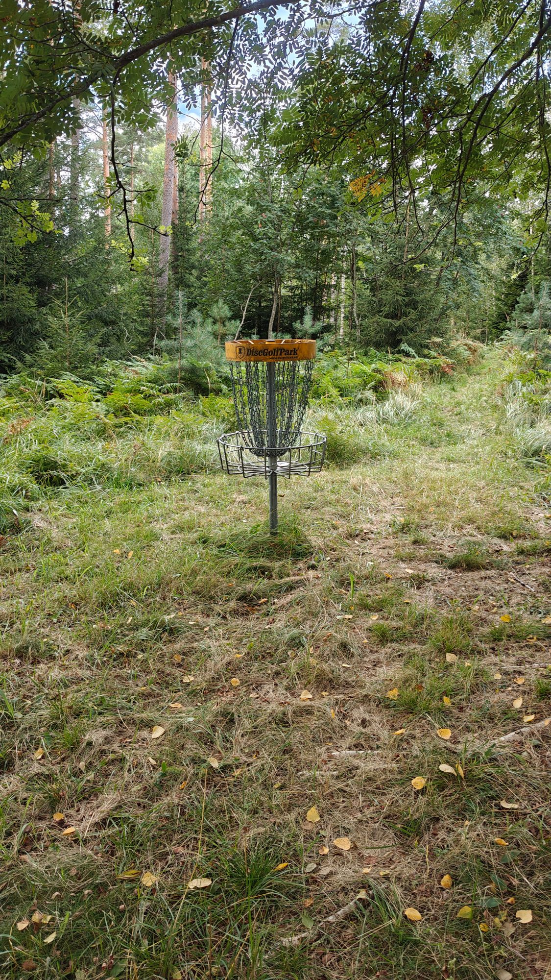 Hole 3