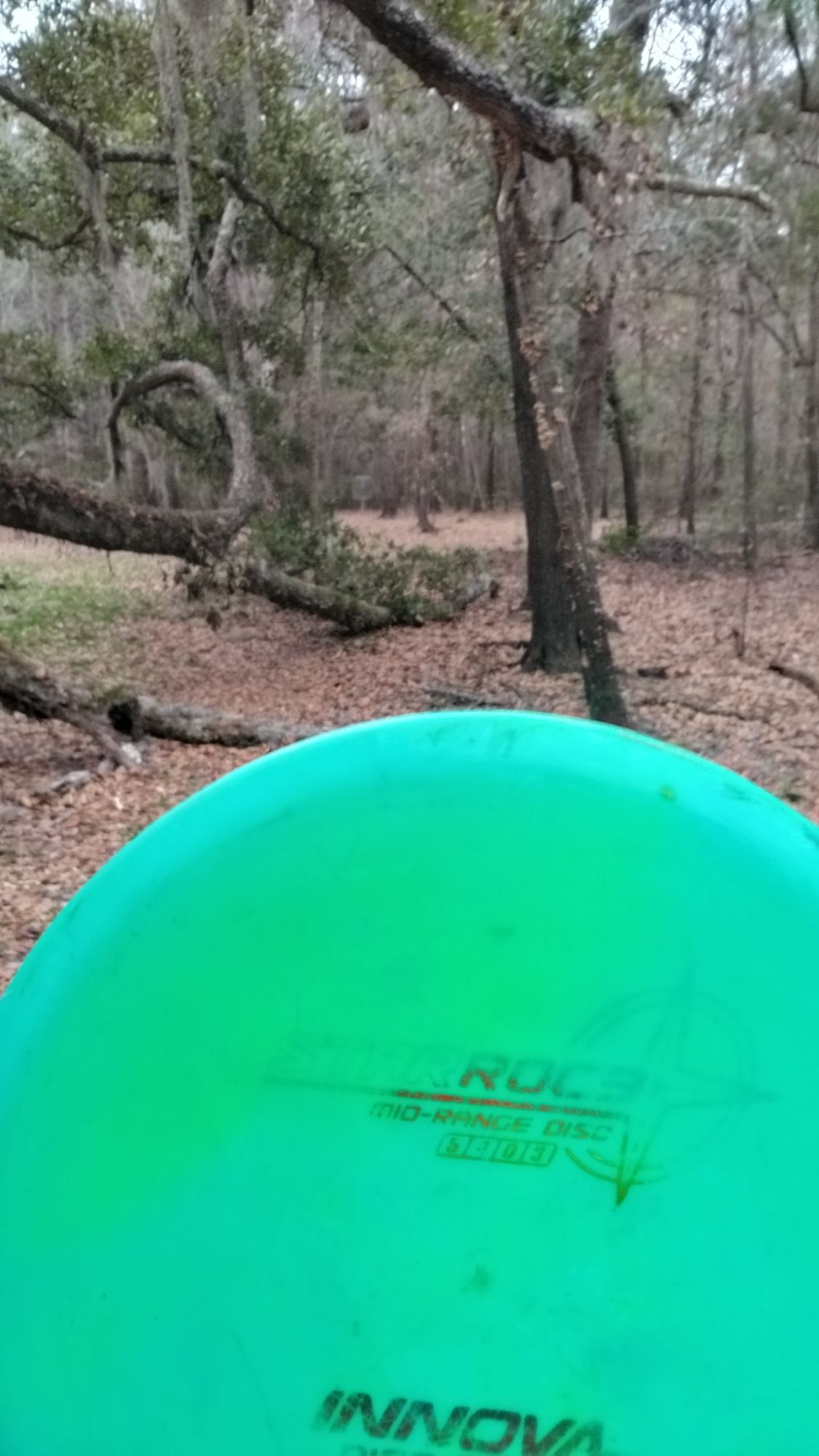 Downed trees make a crazy tunnel shot on 1