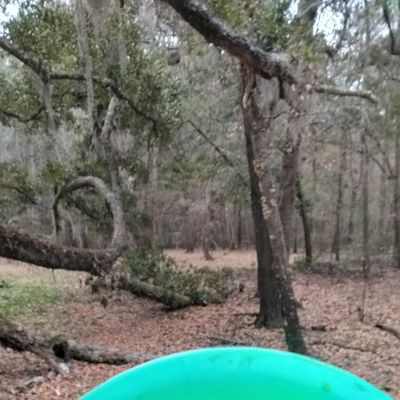 Downed trees make a crazy tunnel shot on 1