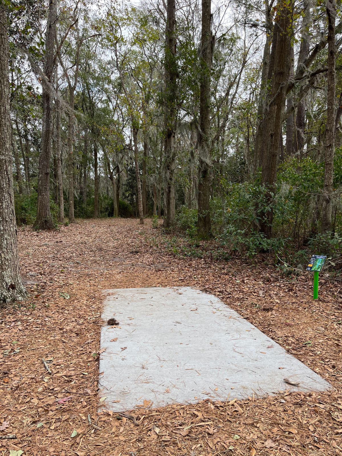 Hole 1 (short)