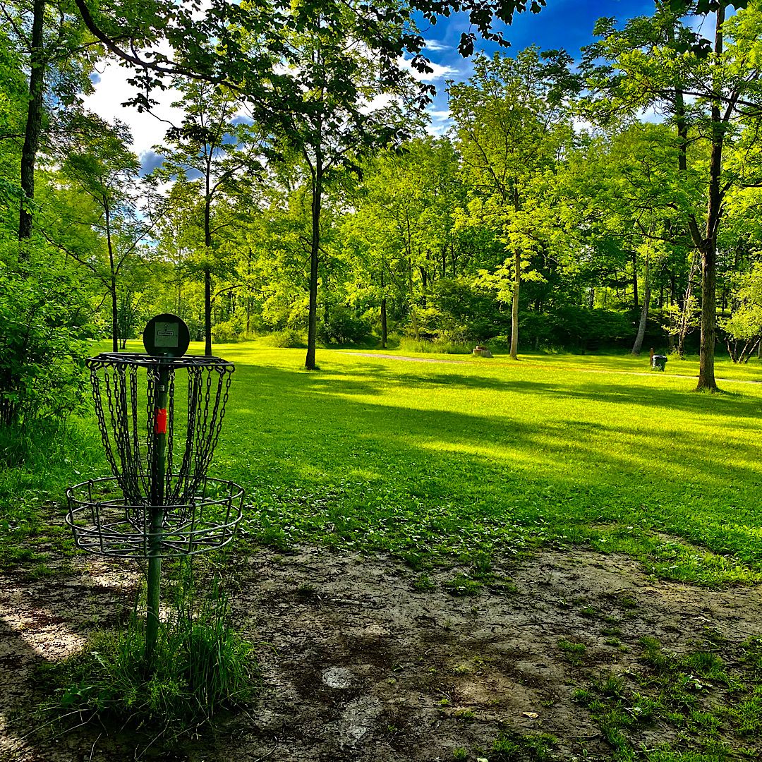 Hole #11 Basket to Tee