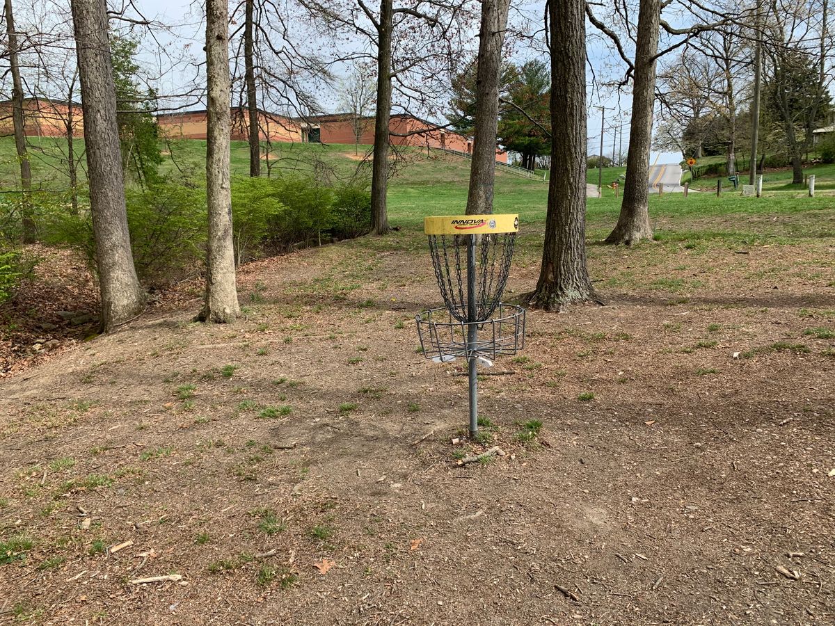 Hole 8/11 basket