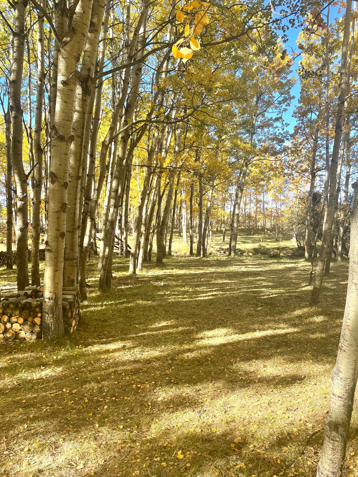 Hole 13 fairway