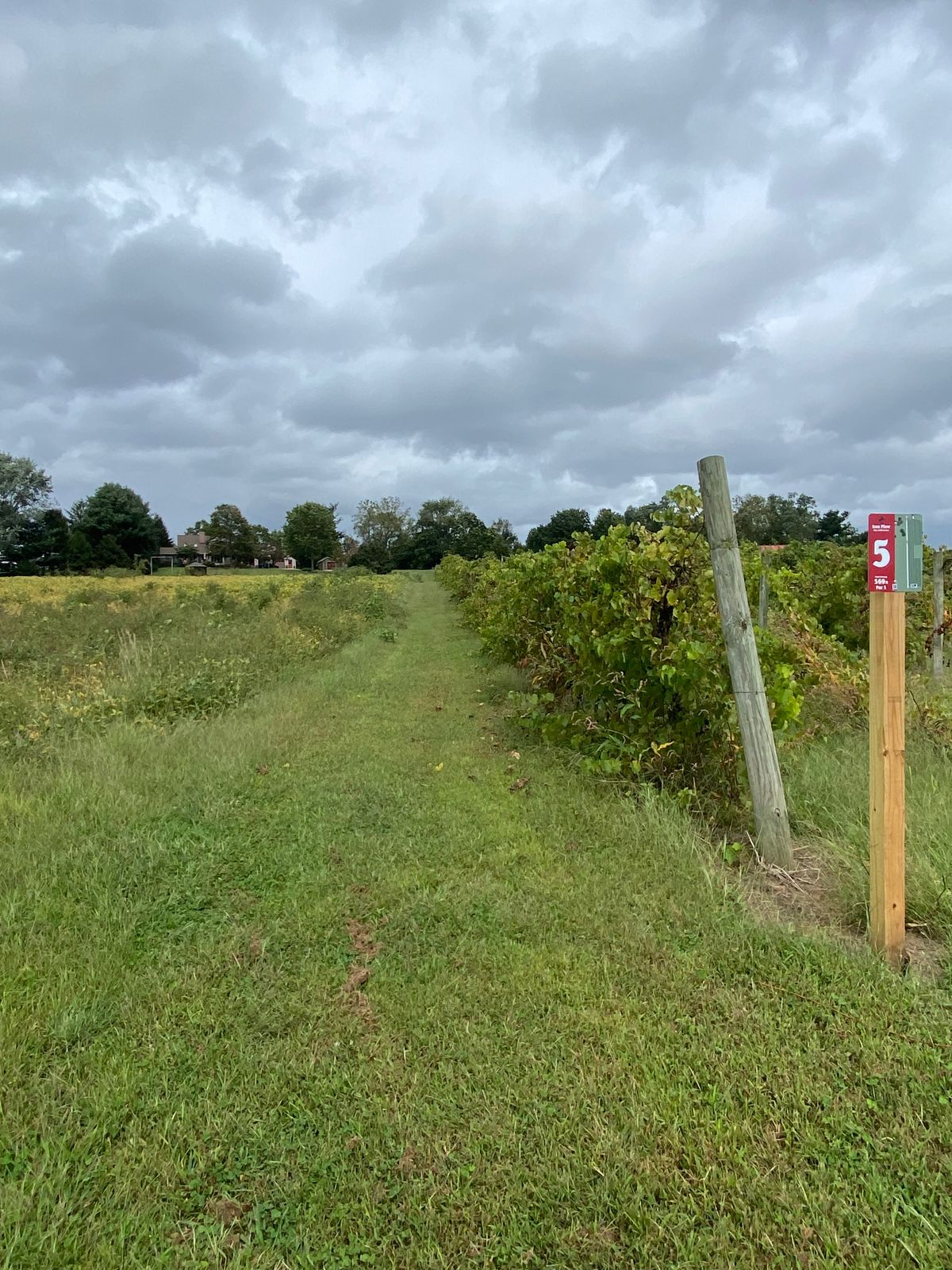 Hole 5