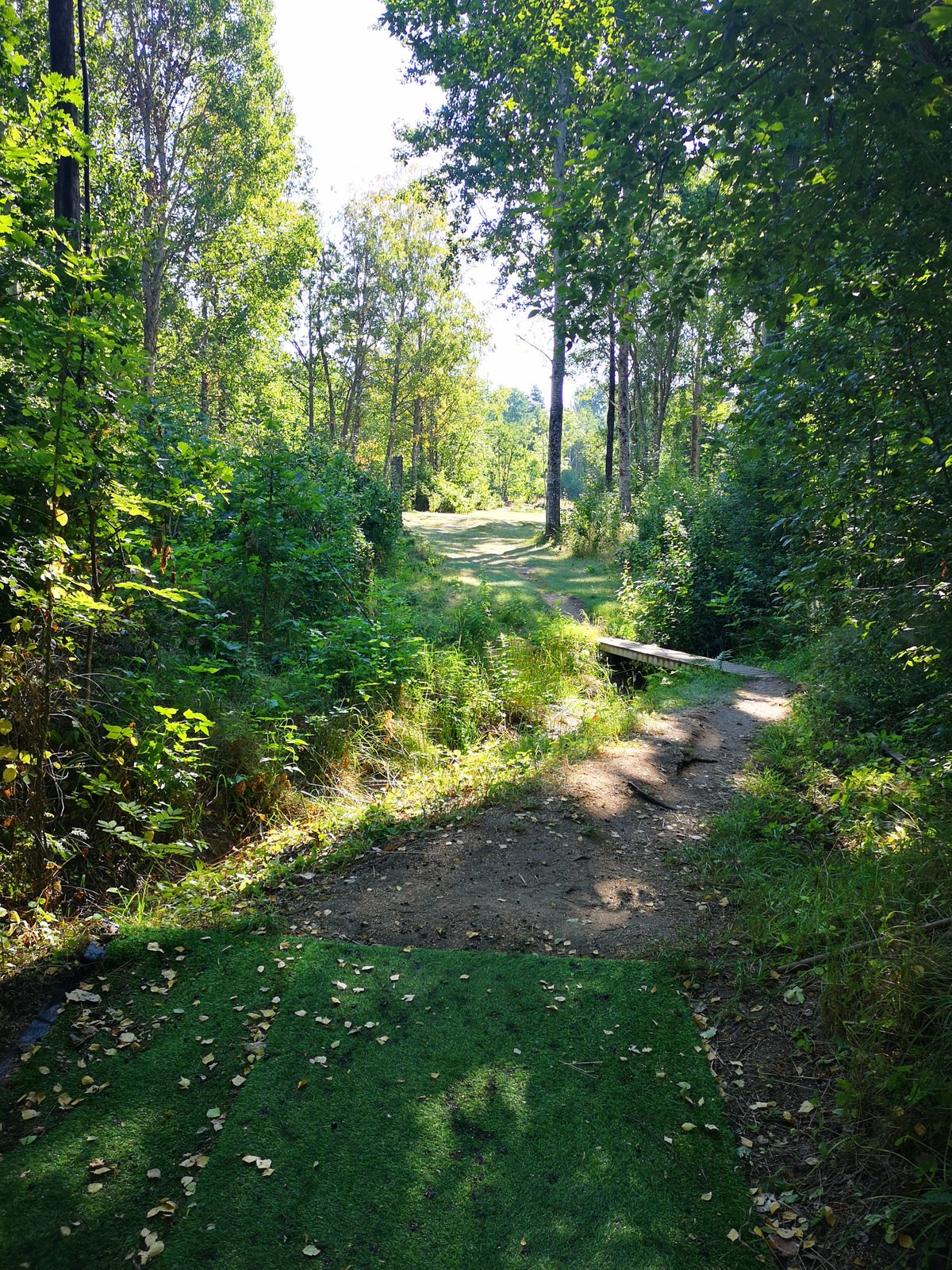 Tee 2