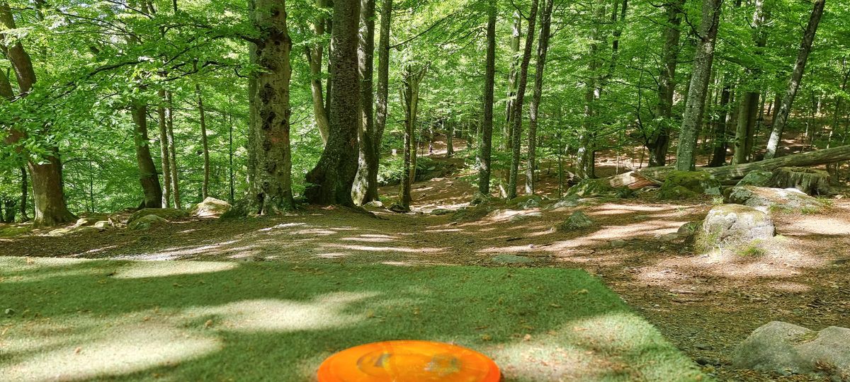 Fin natur som omgiver dig på hål 2
