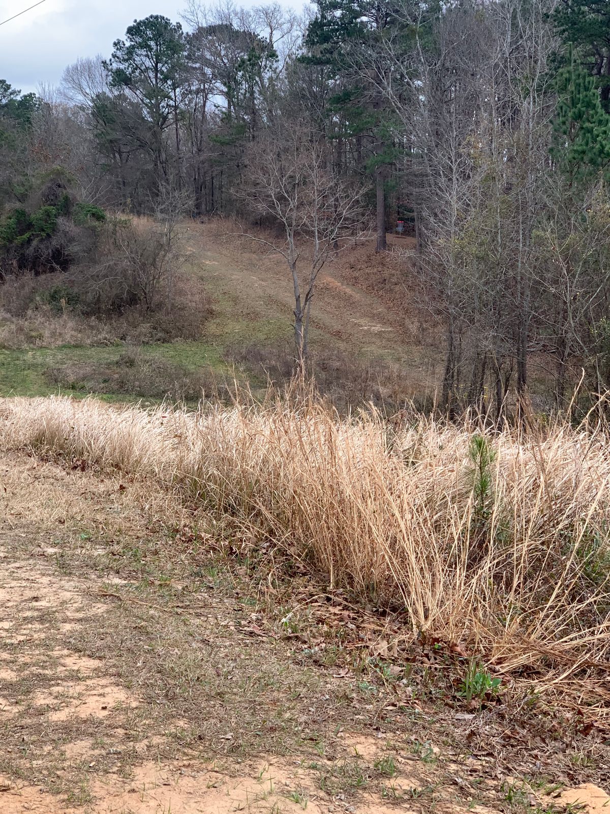 Hole 14
