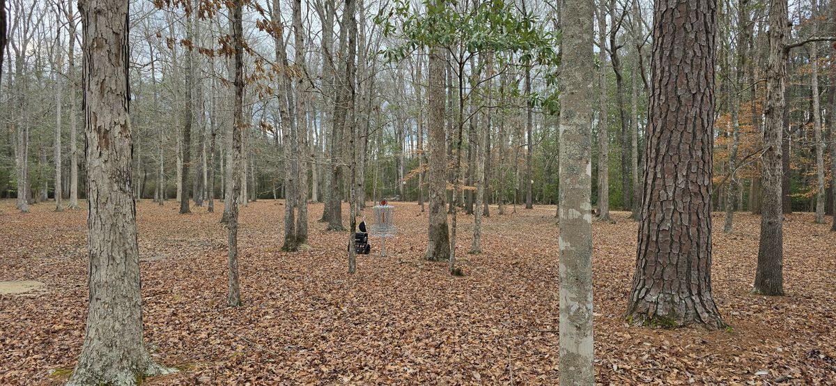 Location for the basket for hole 16