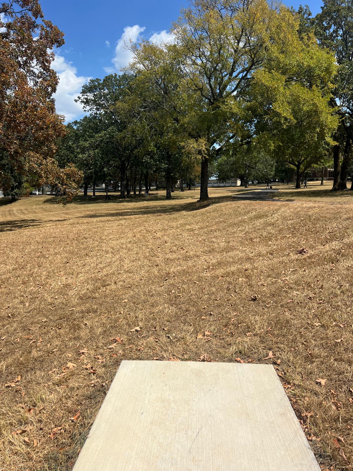 Hole 4