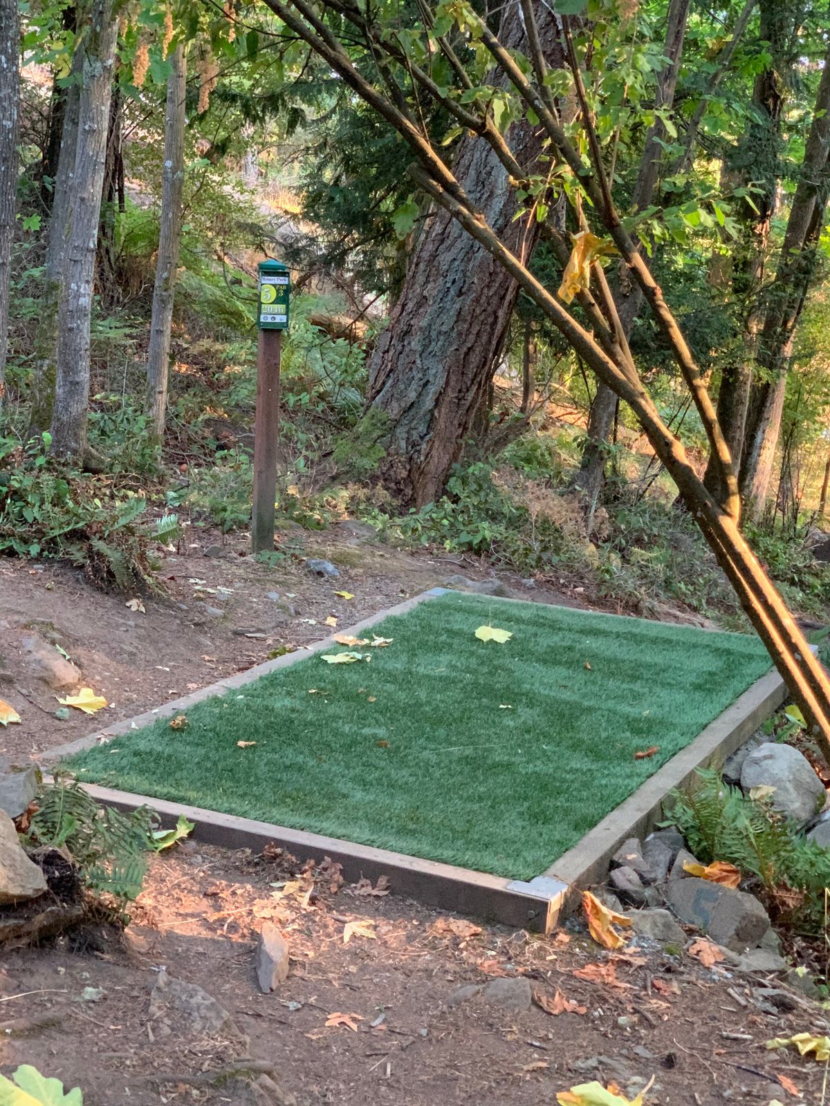 Nice tee pads.  This is #5 tee box.