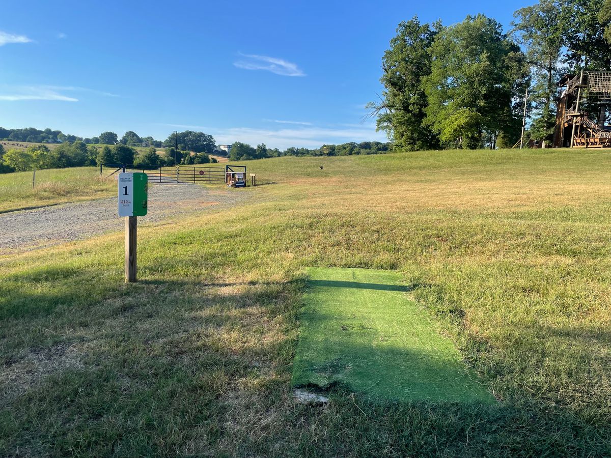 Tee 1