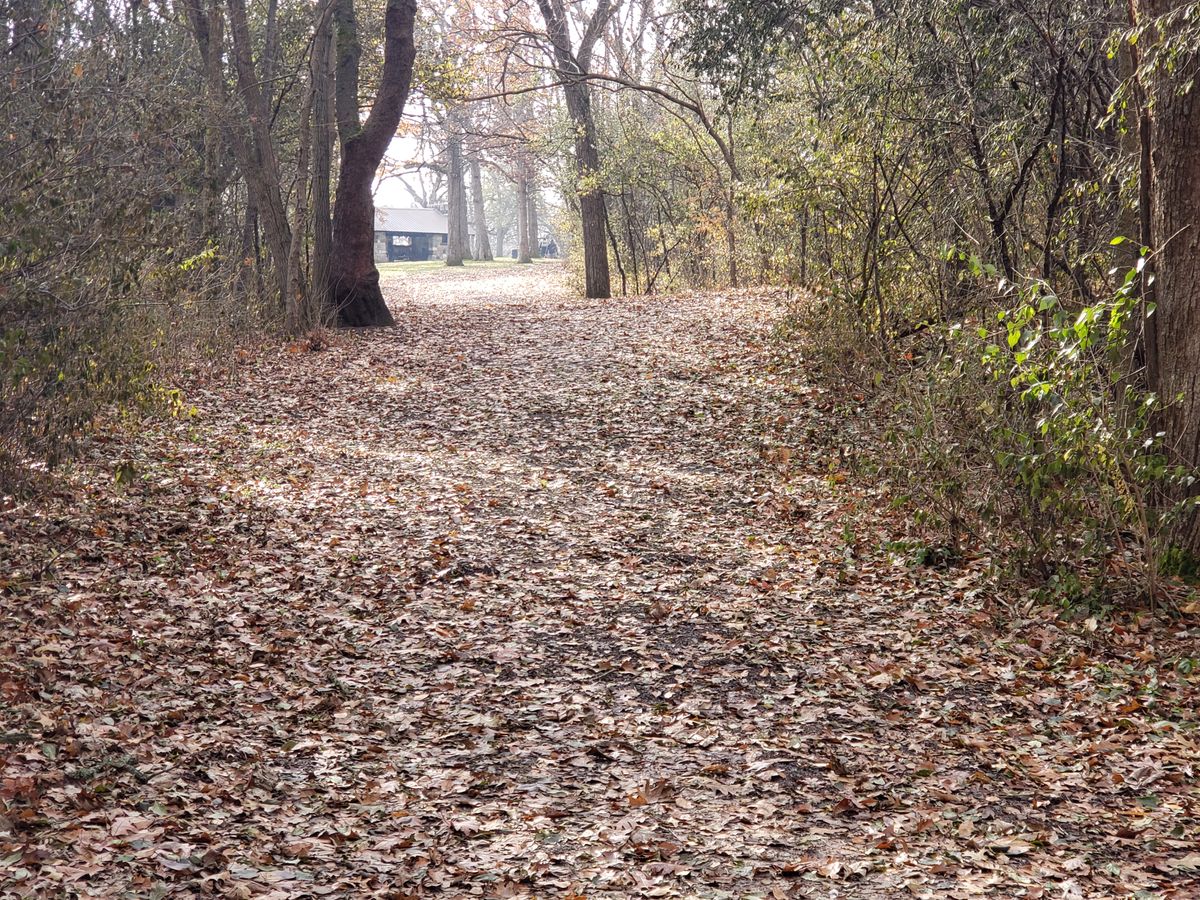 Hole 12