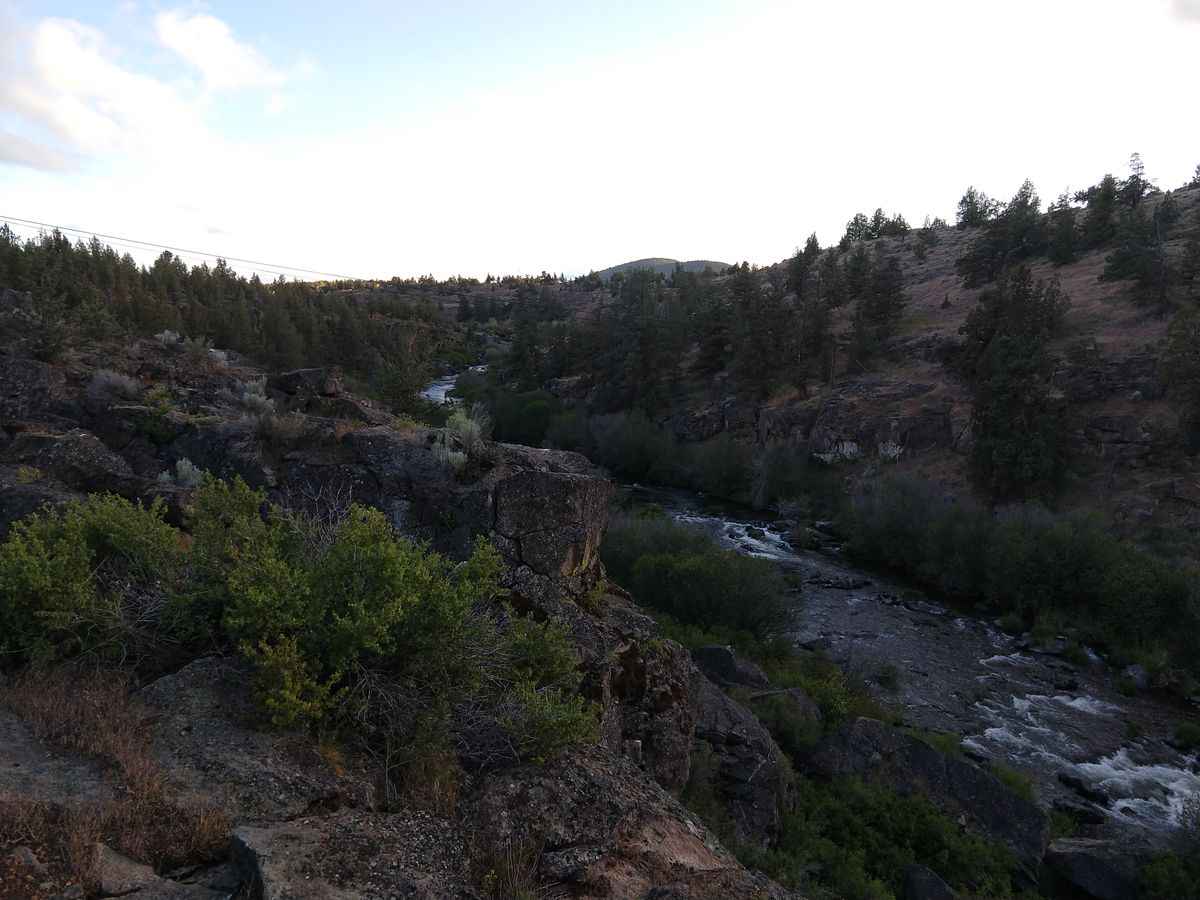 Deschutes River off hole 8