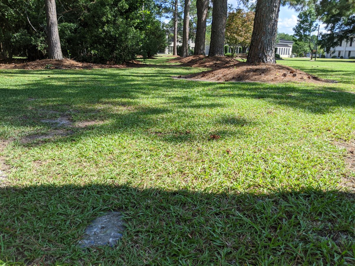 Hole 9 Tee Pad