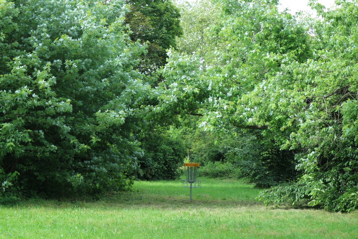 Basket from hole 15
