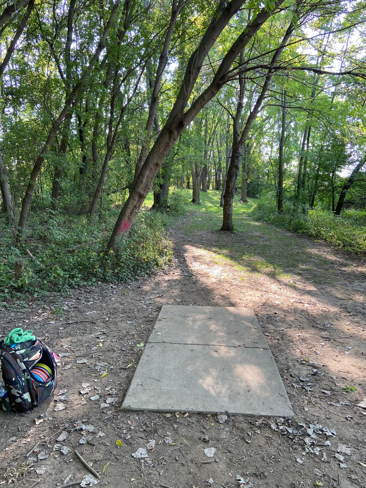 Hole #4. Looking down the tight fairway
