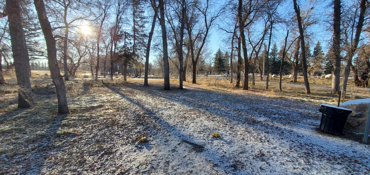 5 tee to fairway/basket