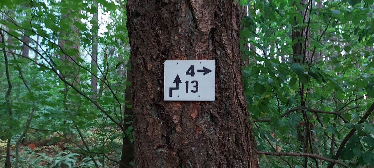 To hole 4.🪵🍂🪵🍂