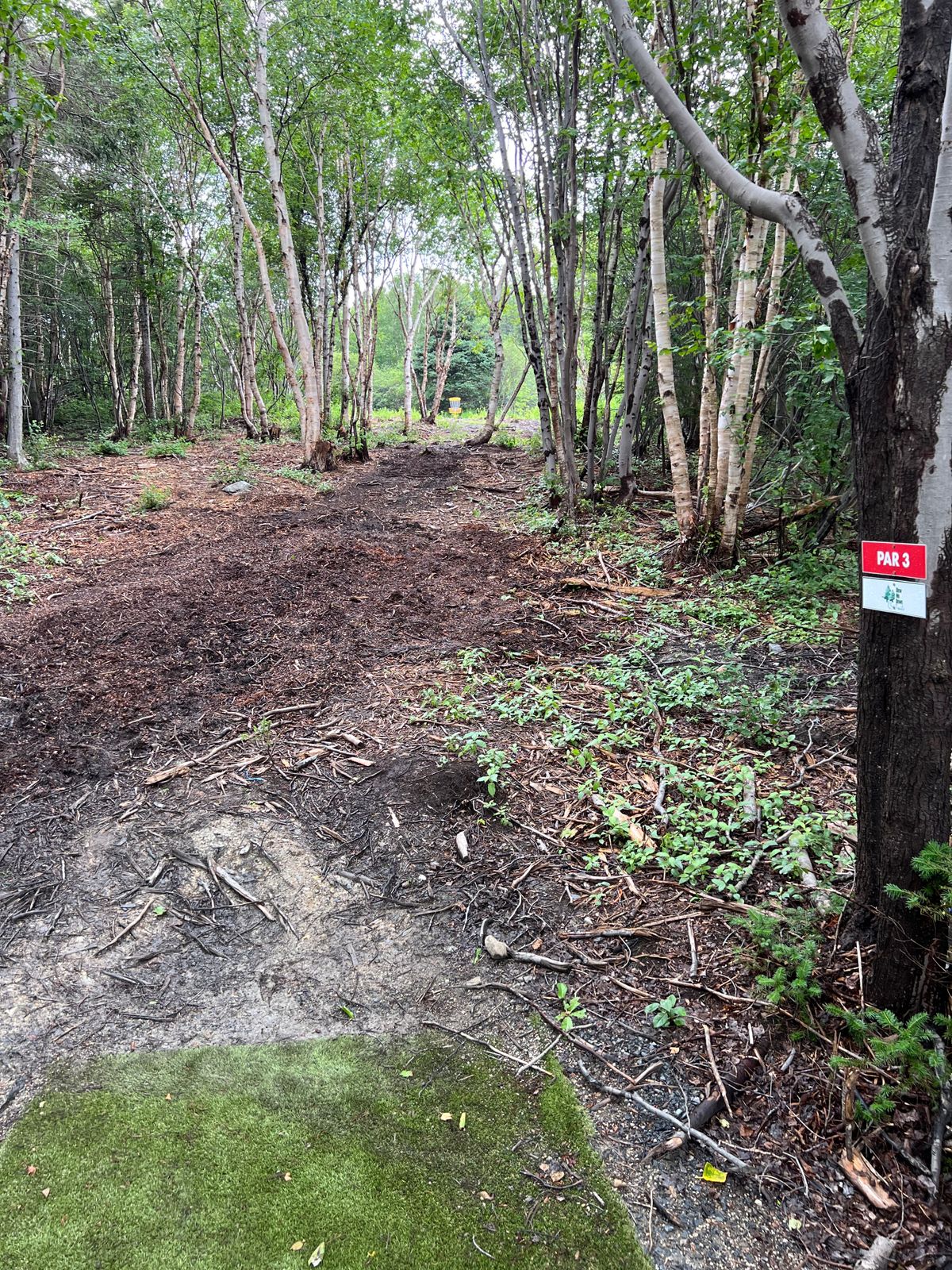 Hole 3 Tee