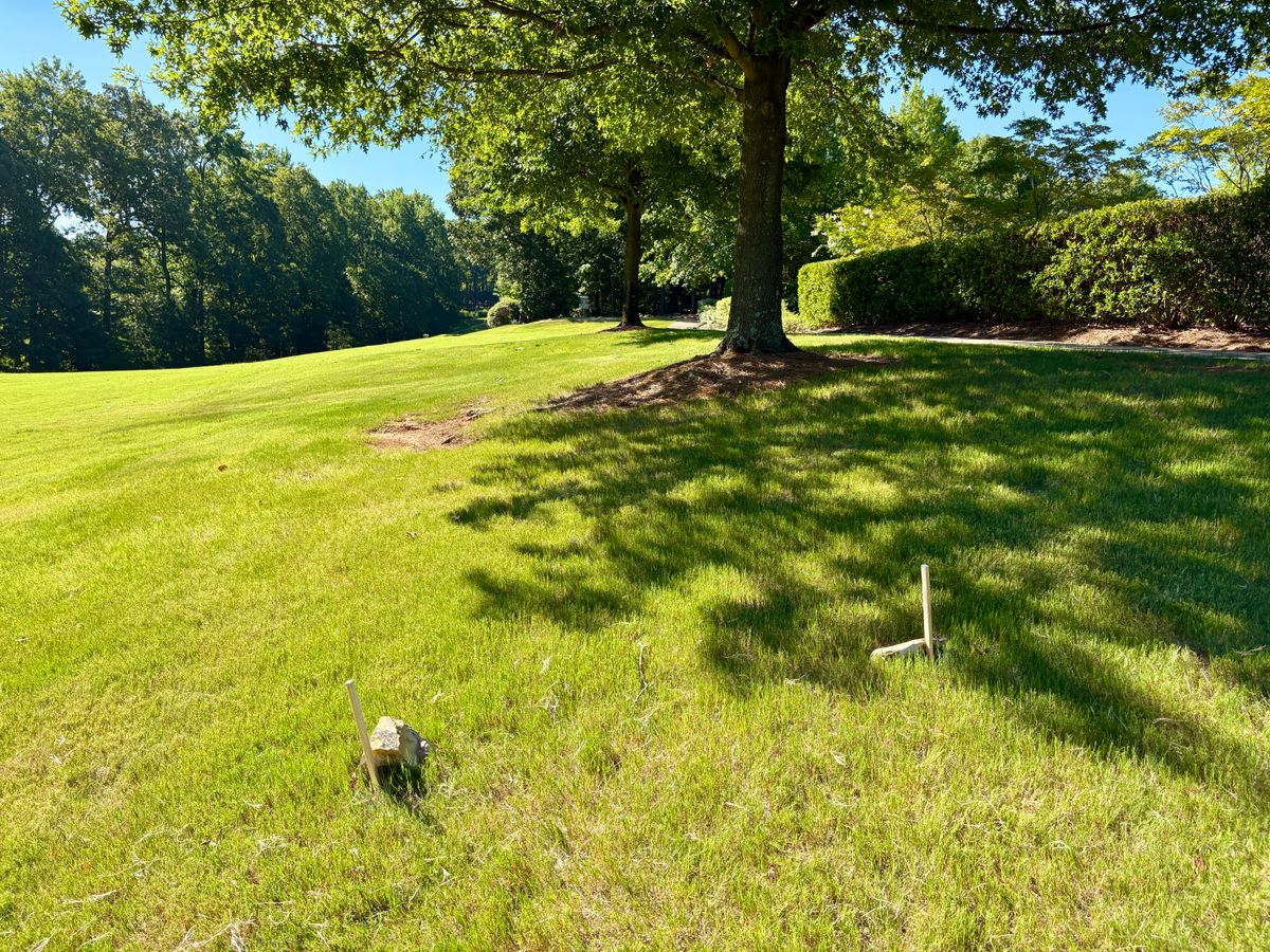 Hole 10 tee