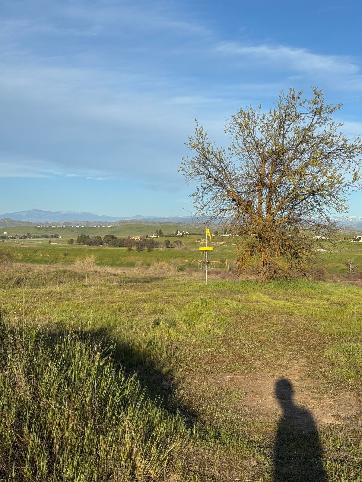 Hole 8