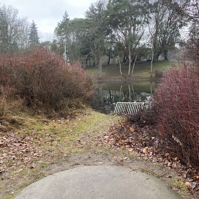 Hole 1 teepad
