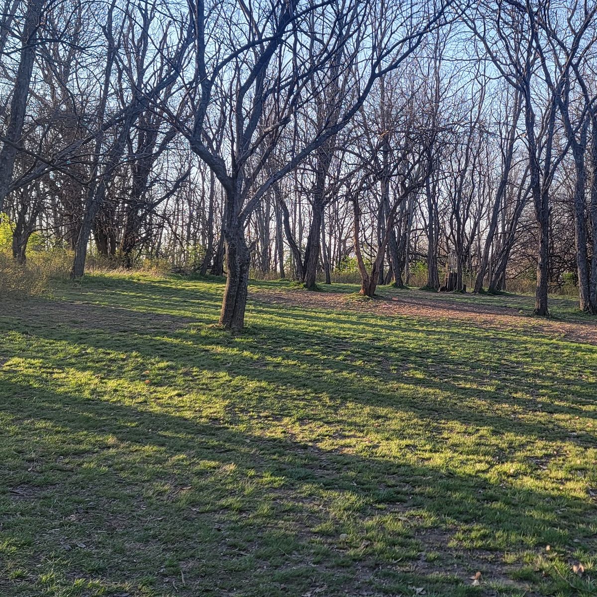 Hole 12