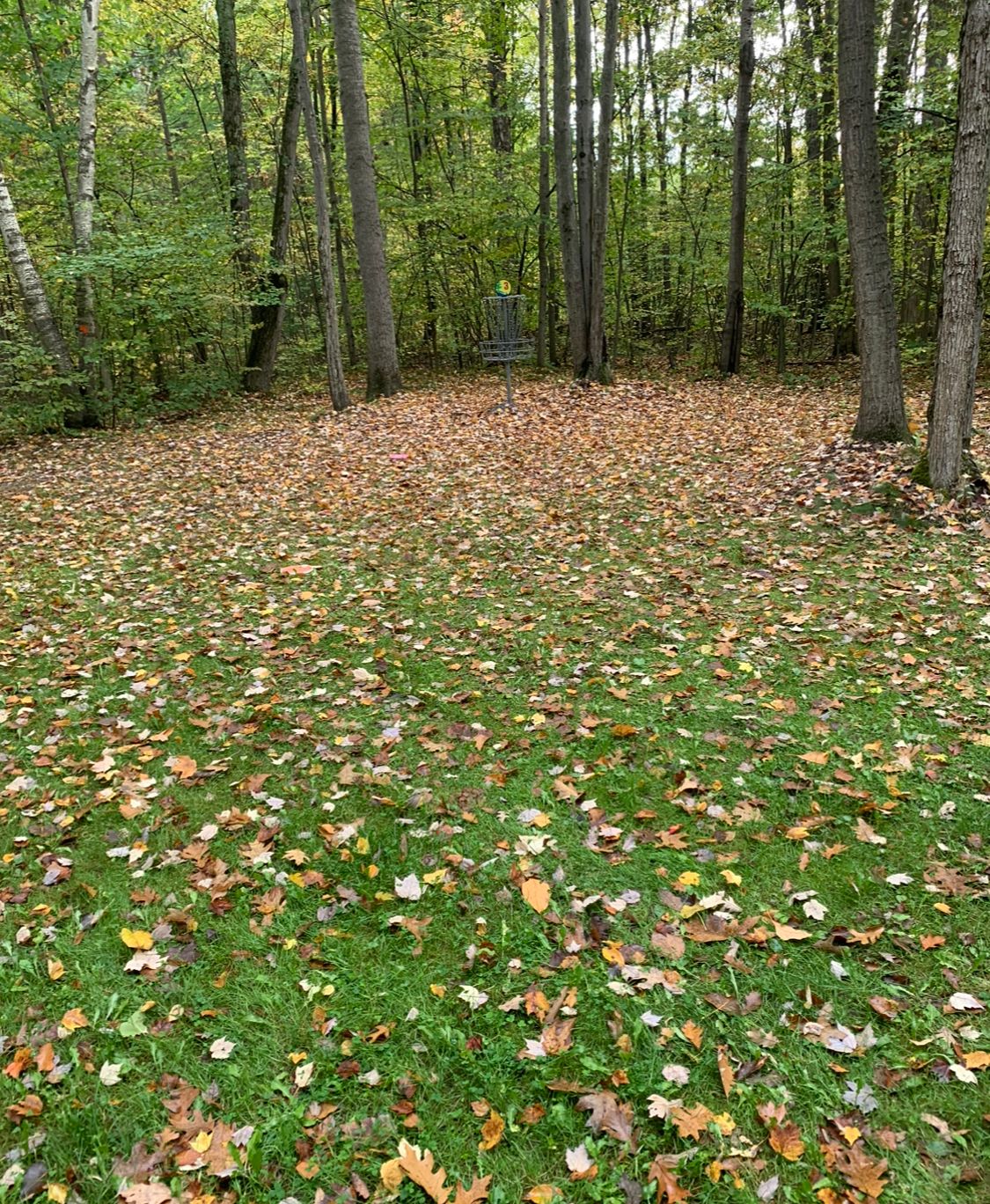 Hole 3 basket