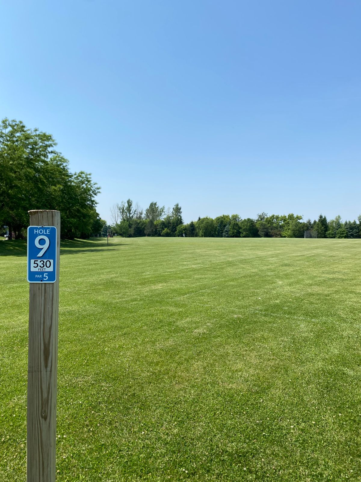 Basket 9 full length tee (par 5 for beginners)