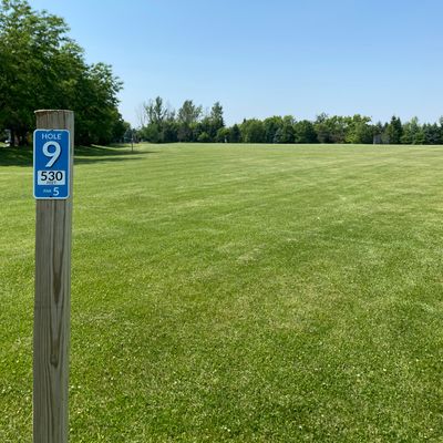 Basket 9 full length tee (par 5 for beginners)