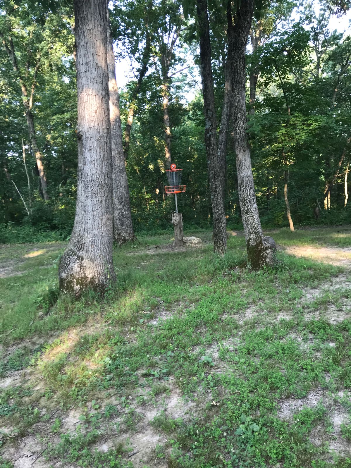 Hole 7 elevated basket
