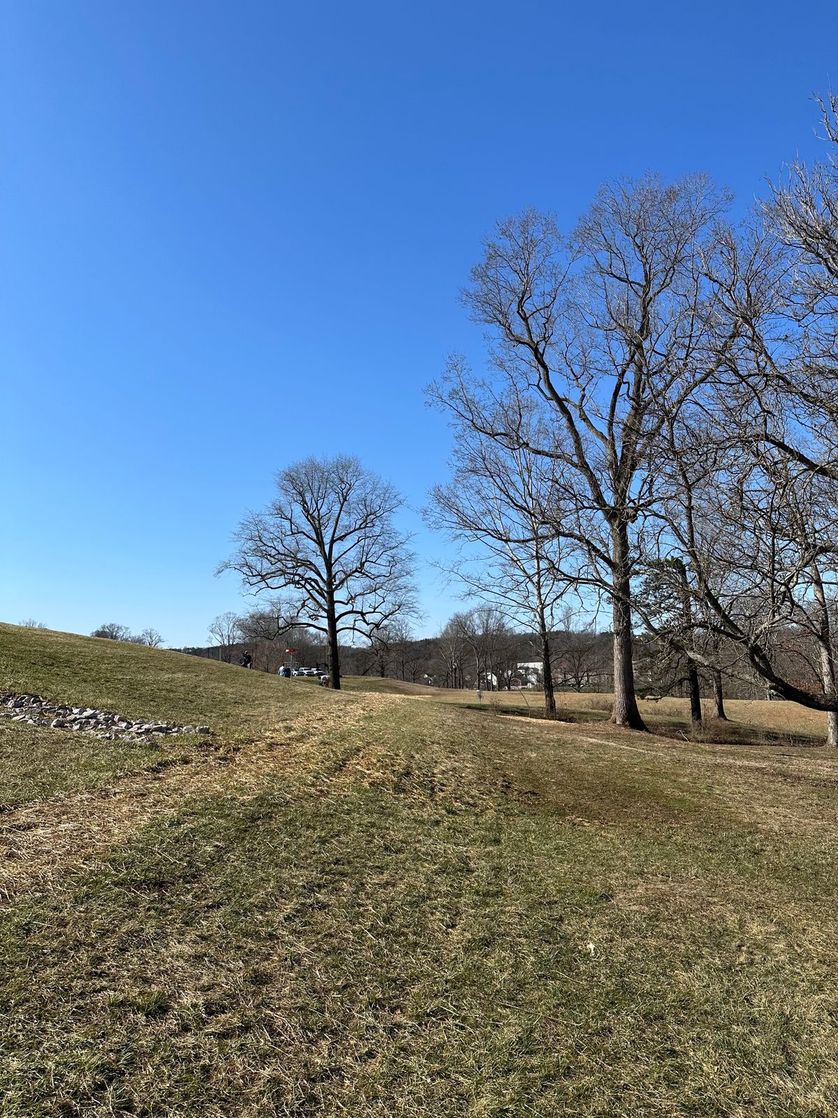 Hole 15