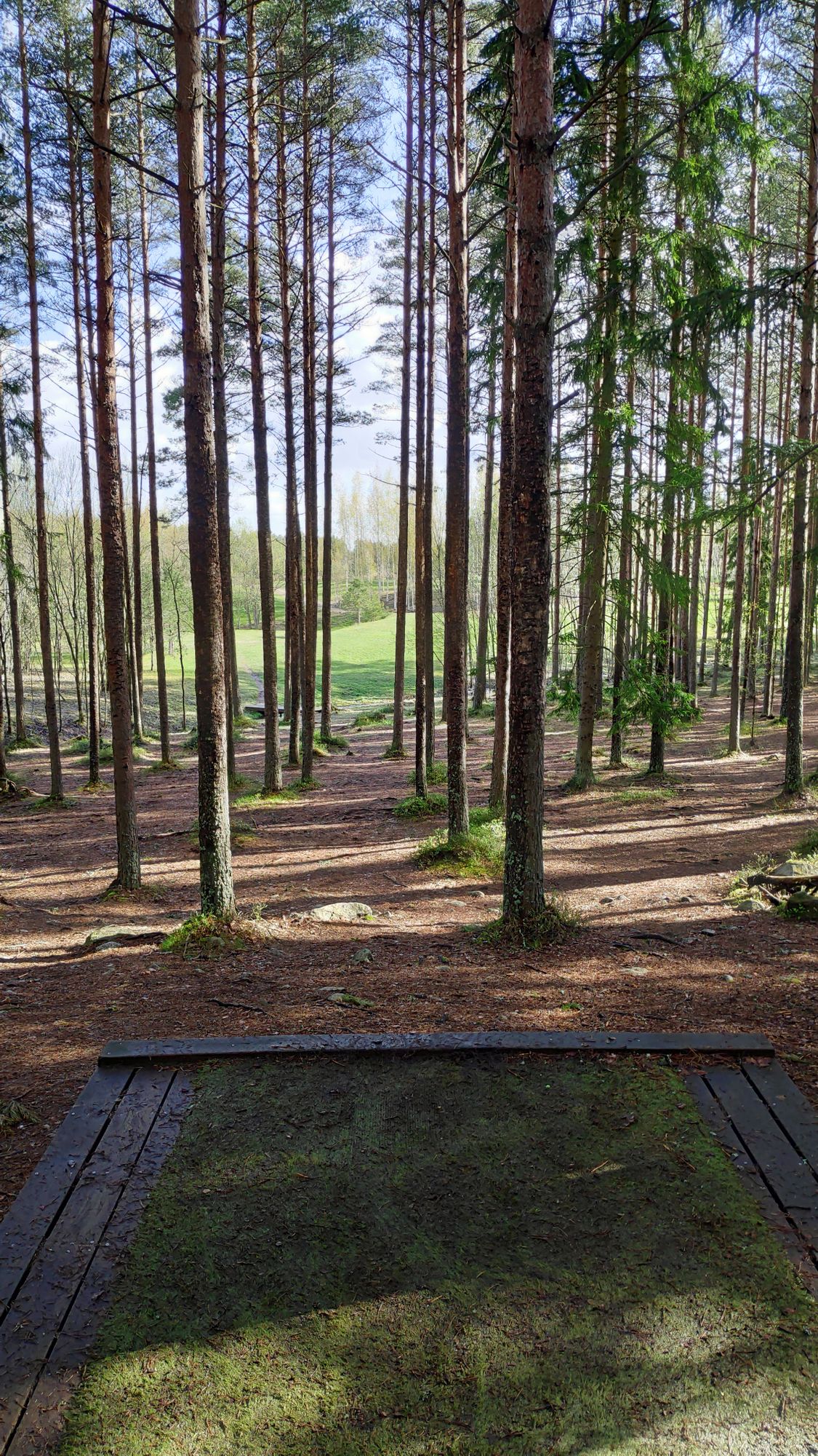 Hole #23 (2020 layout)