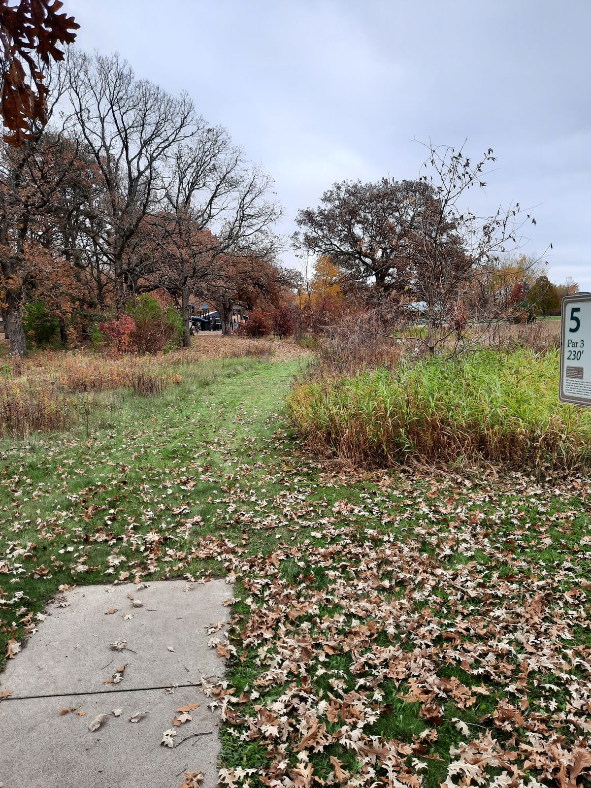 Hole 5