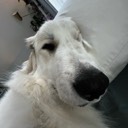 User avatar image