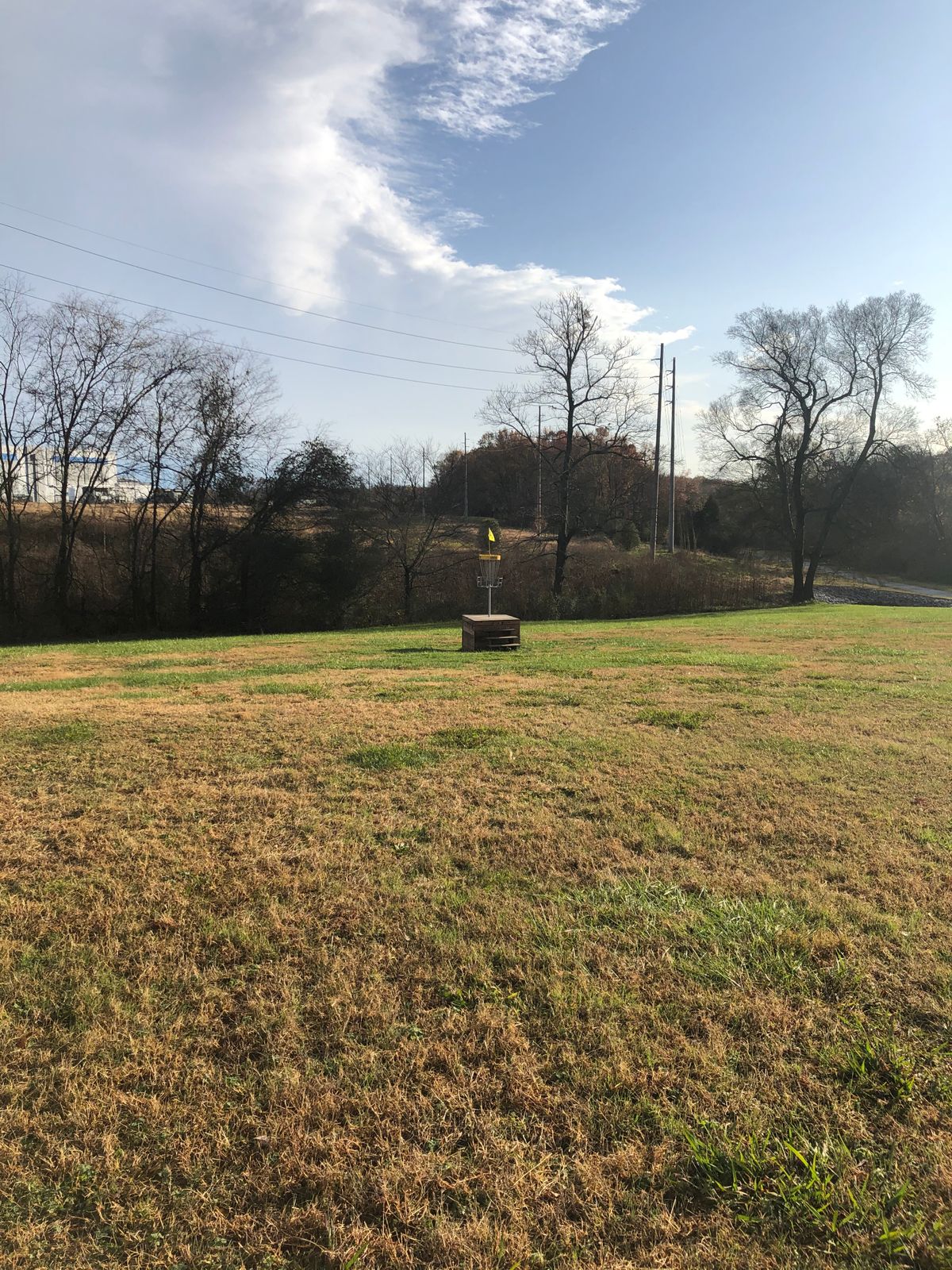 Hole 11 basket