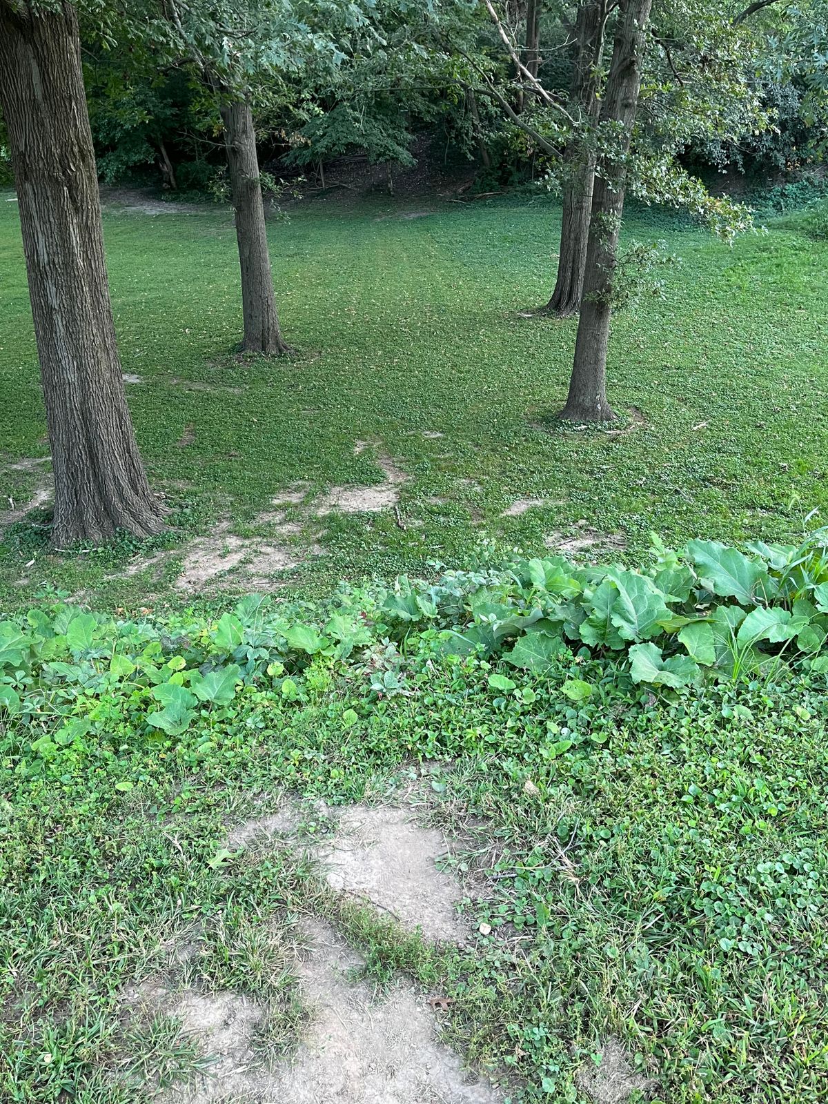 5 tee