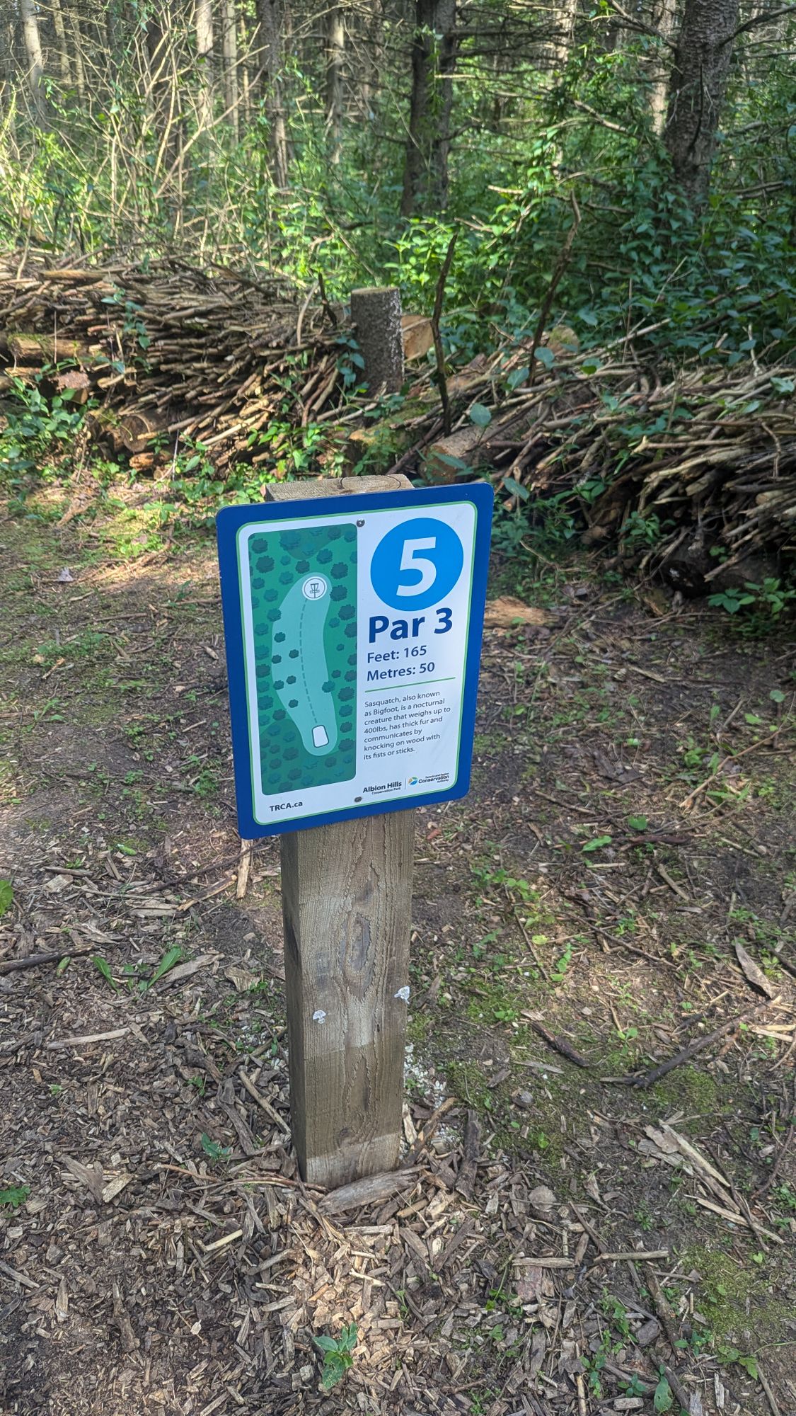 This hole is not my friend.