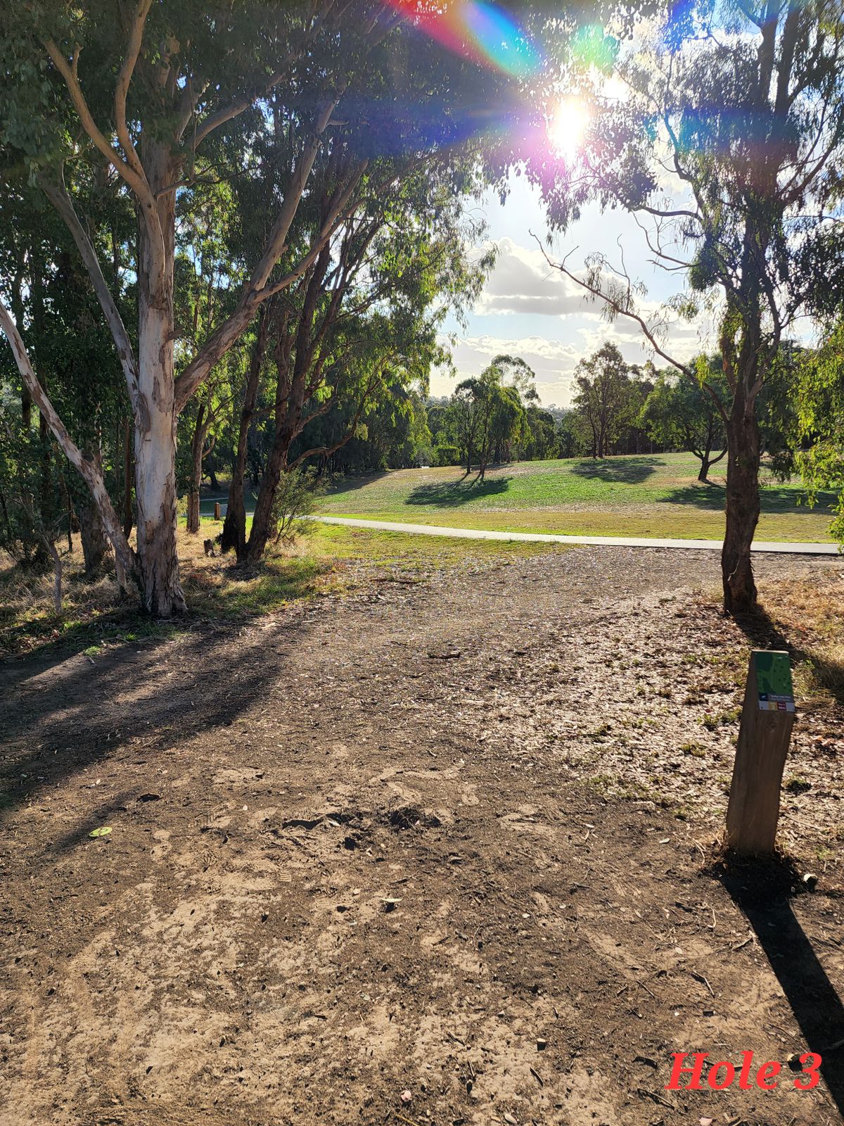 100m slightly downhill. Hyzer flip backhand and forehand are available, as well as an aggressive sky hyzer over all the trees on the right.