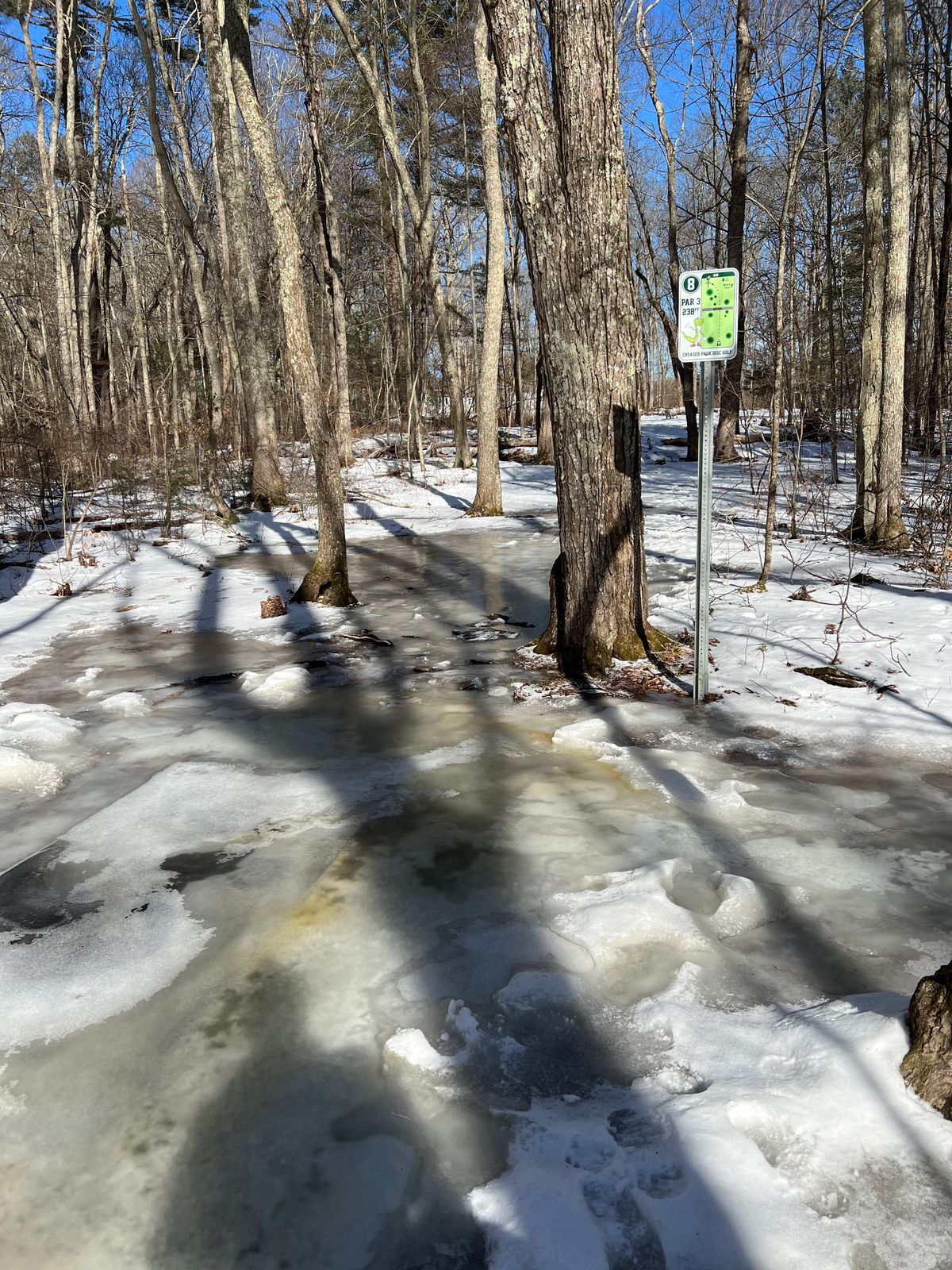 Disc golf on ice