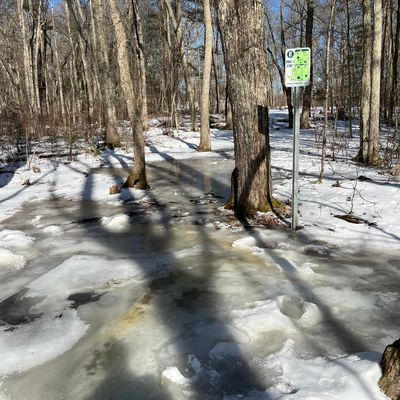 Disc golf on ice