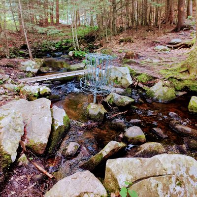 Pin in the creek on 16