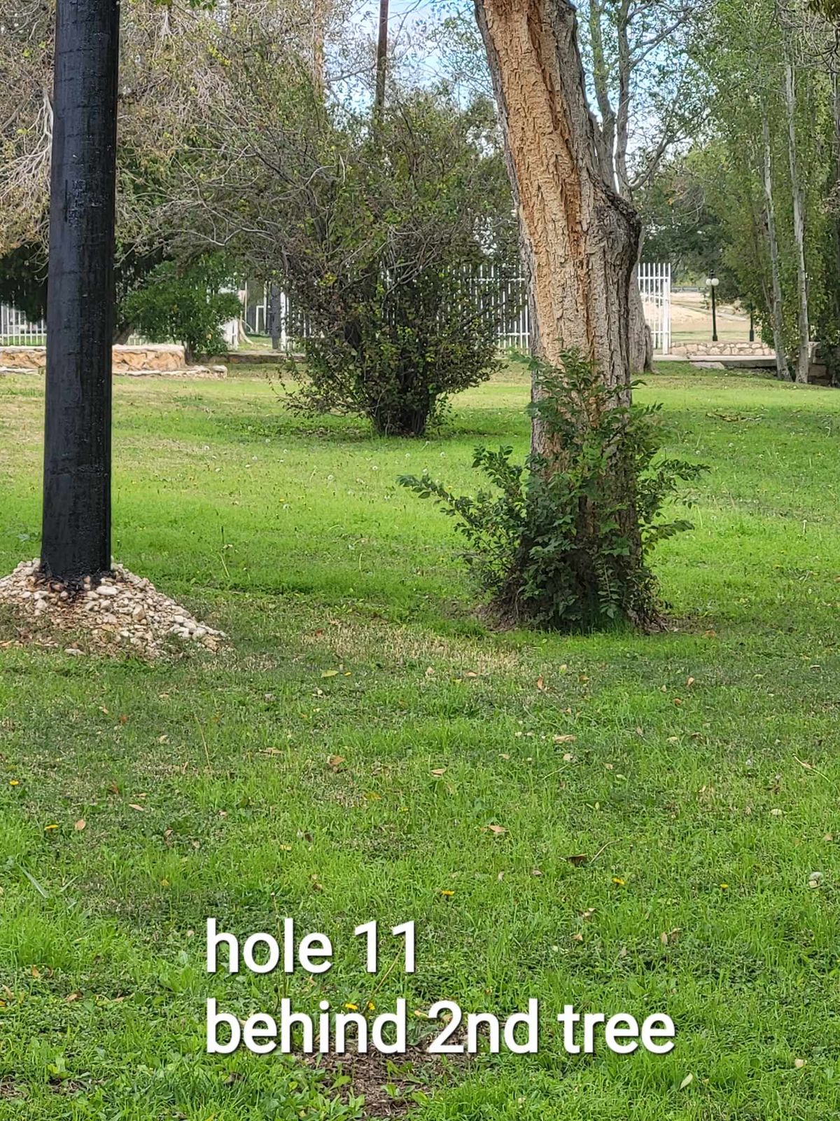 Hole11