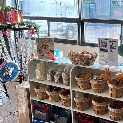 Front desk with dog treats!!