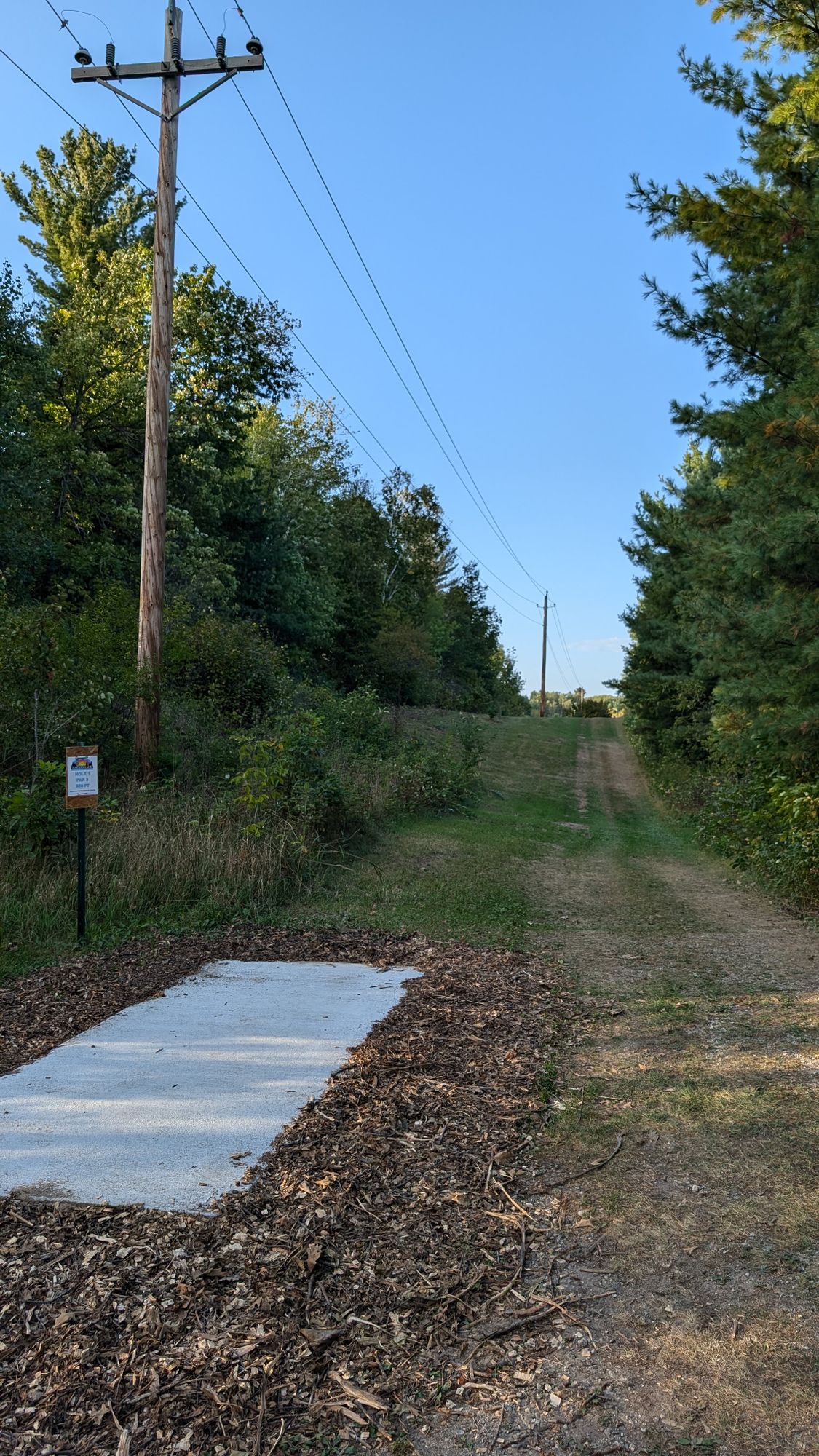 Tee of one. This is a long shot and difficult birdie for most players. The basket is to the right and just past the bush in top of the hill. The fairway has been cleared to the left to leave a generous landing area for beginners.
