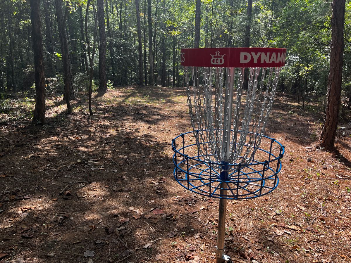 Hole 5 basket