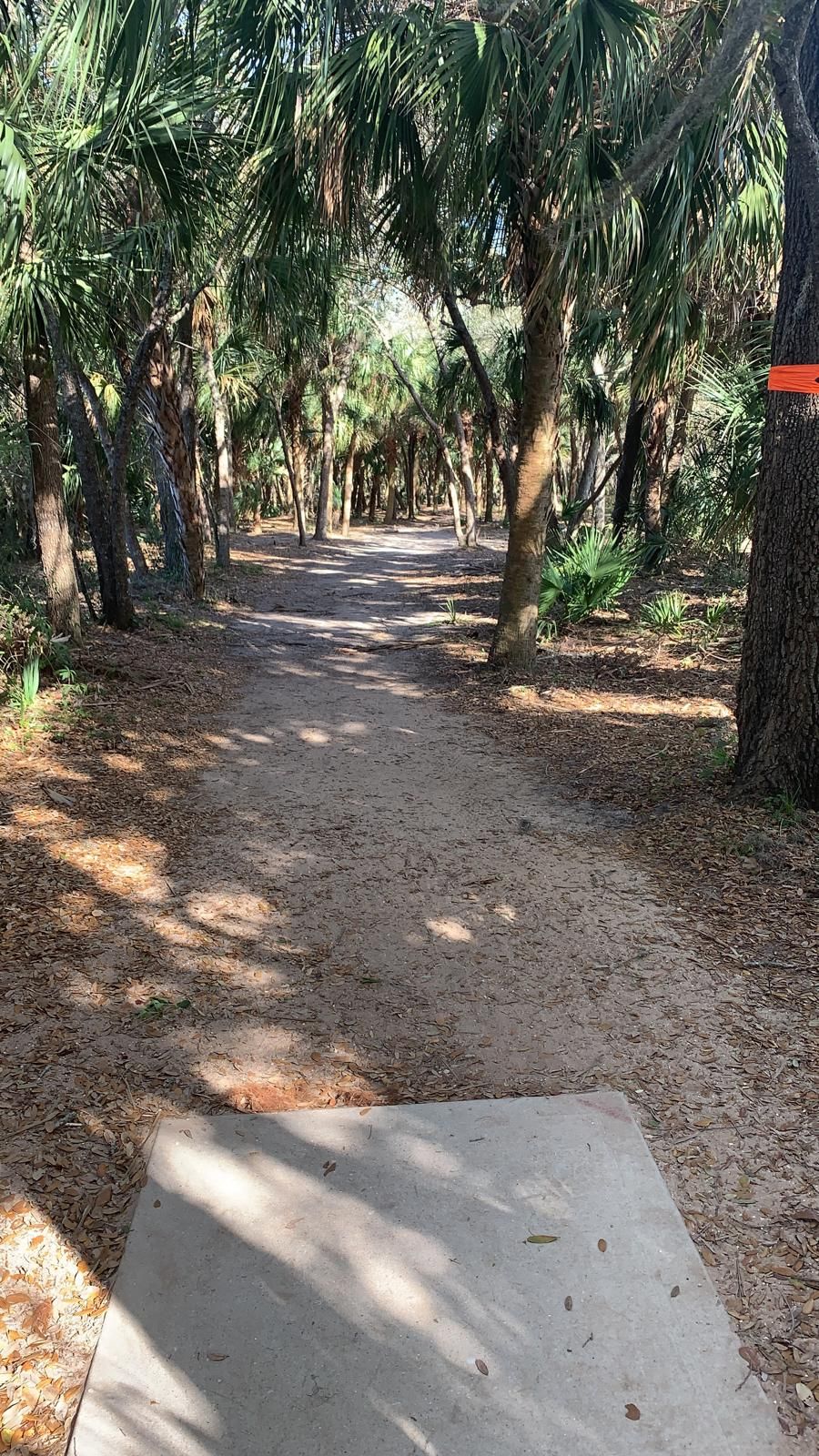 Hole #1